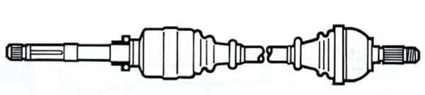 Cardan