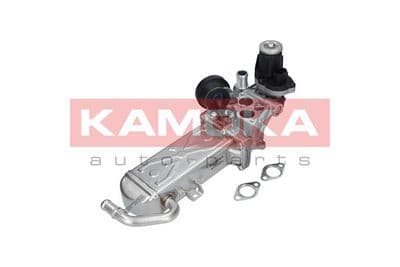 Module-EGR