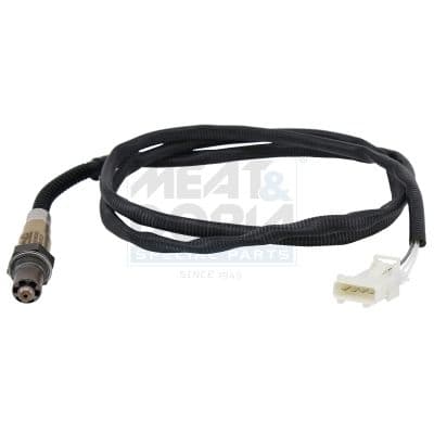 Sonde lambda