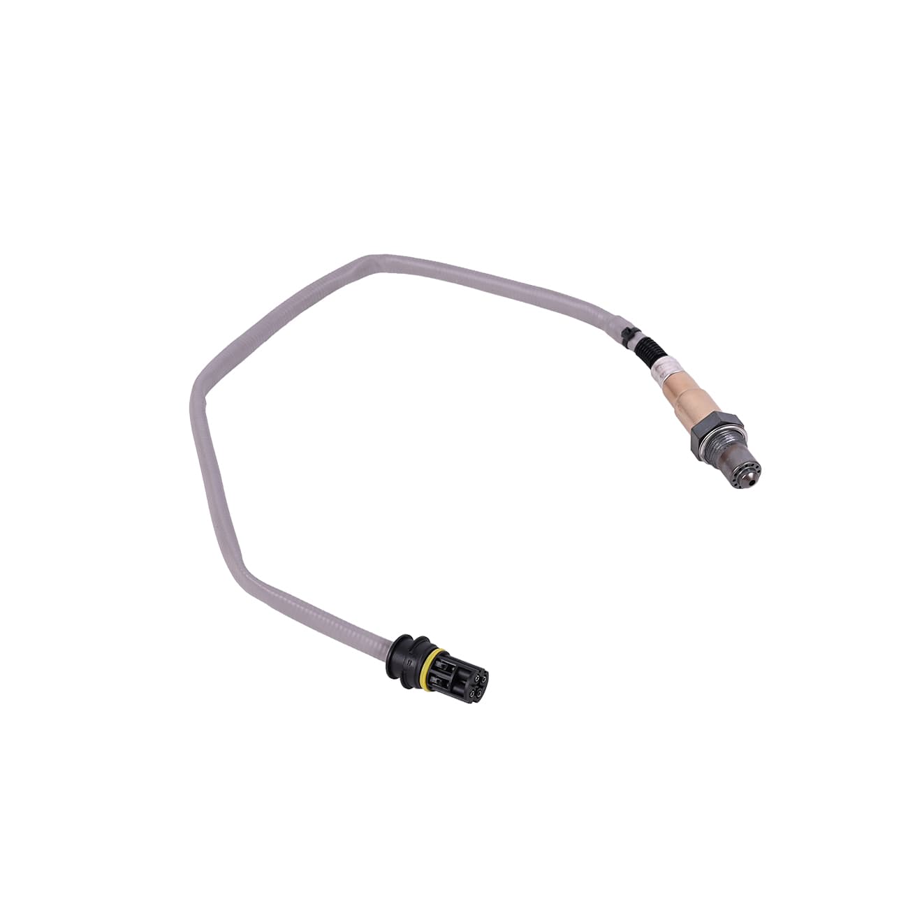 Sonde lambda